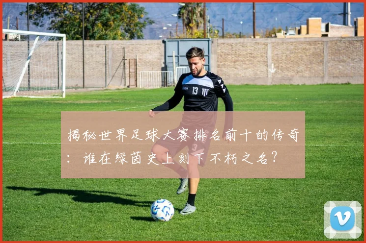 揭秘世界足球大赛排名前十的传奇：谁在绿茵史上刻下不朽之名？